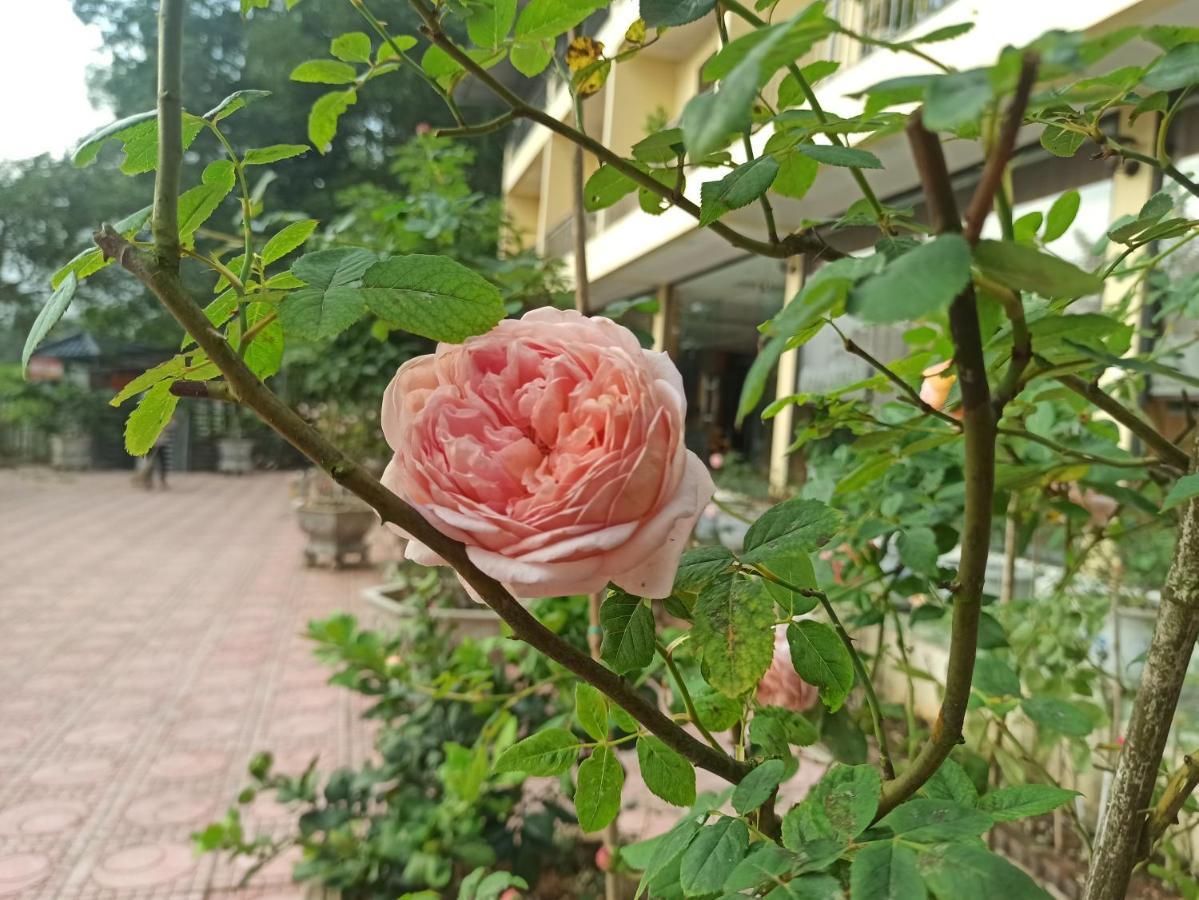 Aku House Villa Ao Vua Ba Vi Exterior foto